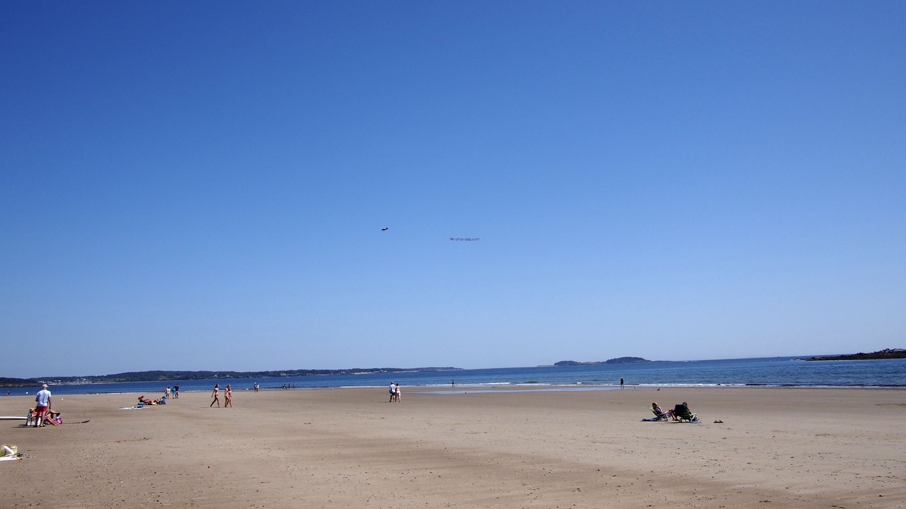 Photo of Others in Scarborough