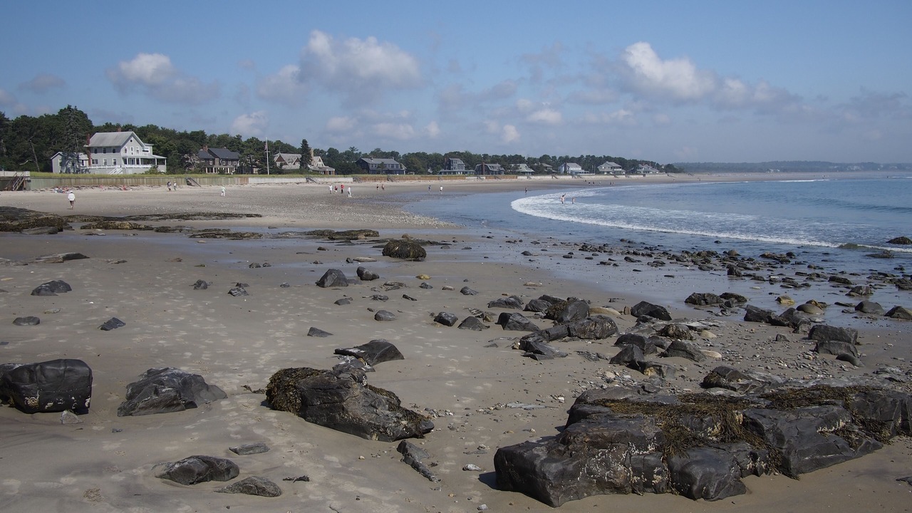 Photo of Others in Scarborough