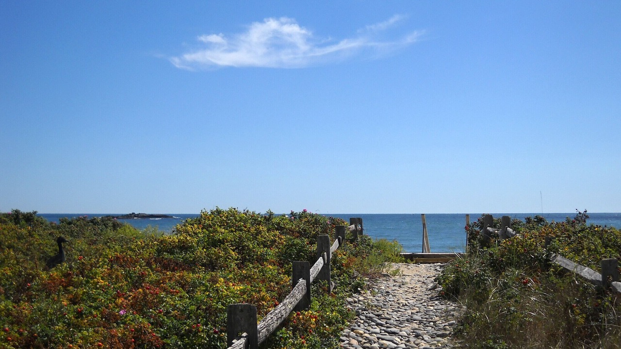 Photo of Others in Scarborough