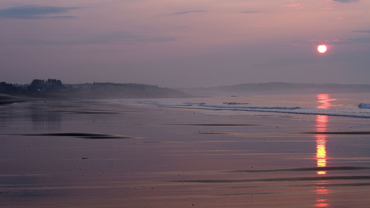 Photo of Others in Scarborough