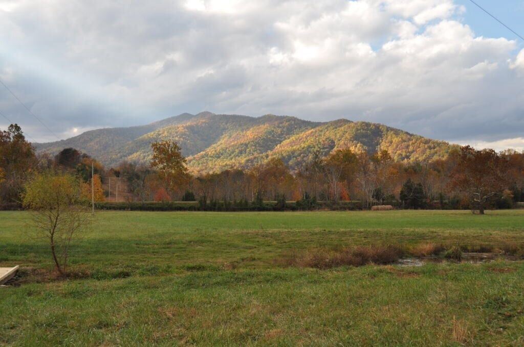 Photo of Outdoor in Haywood