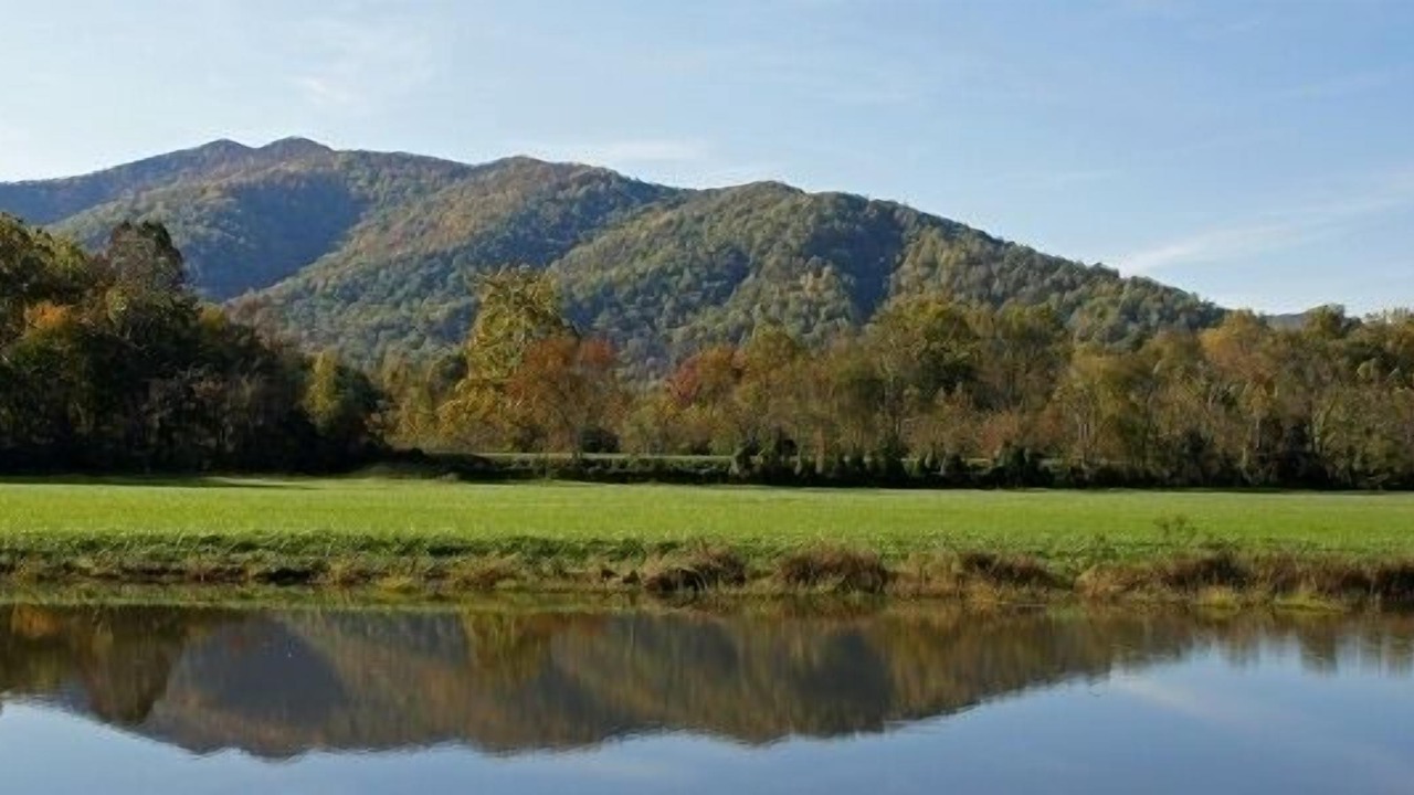 Photo of Others in Haywood