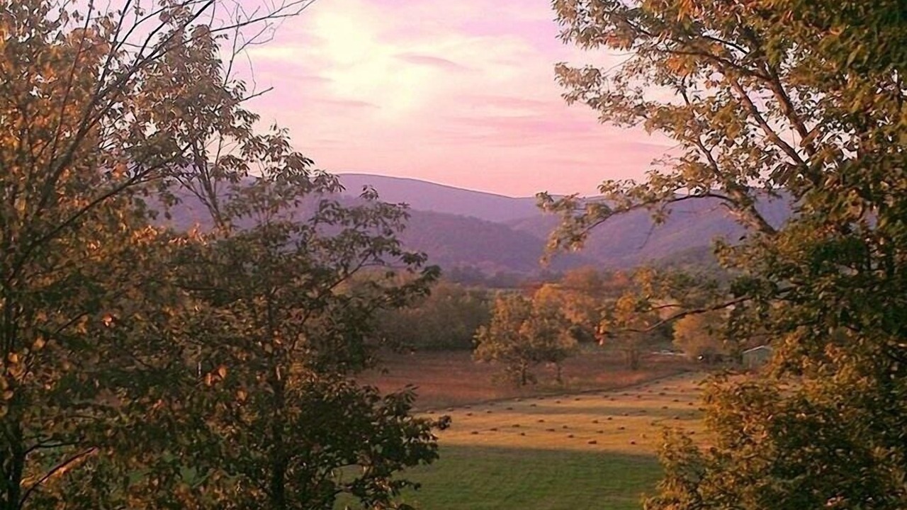 Photo of Outdoor in Haywood