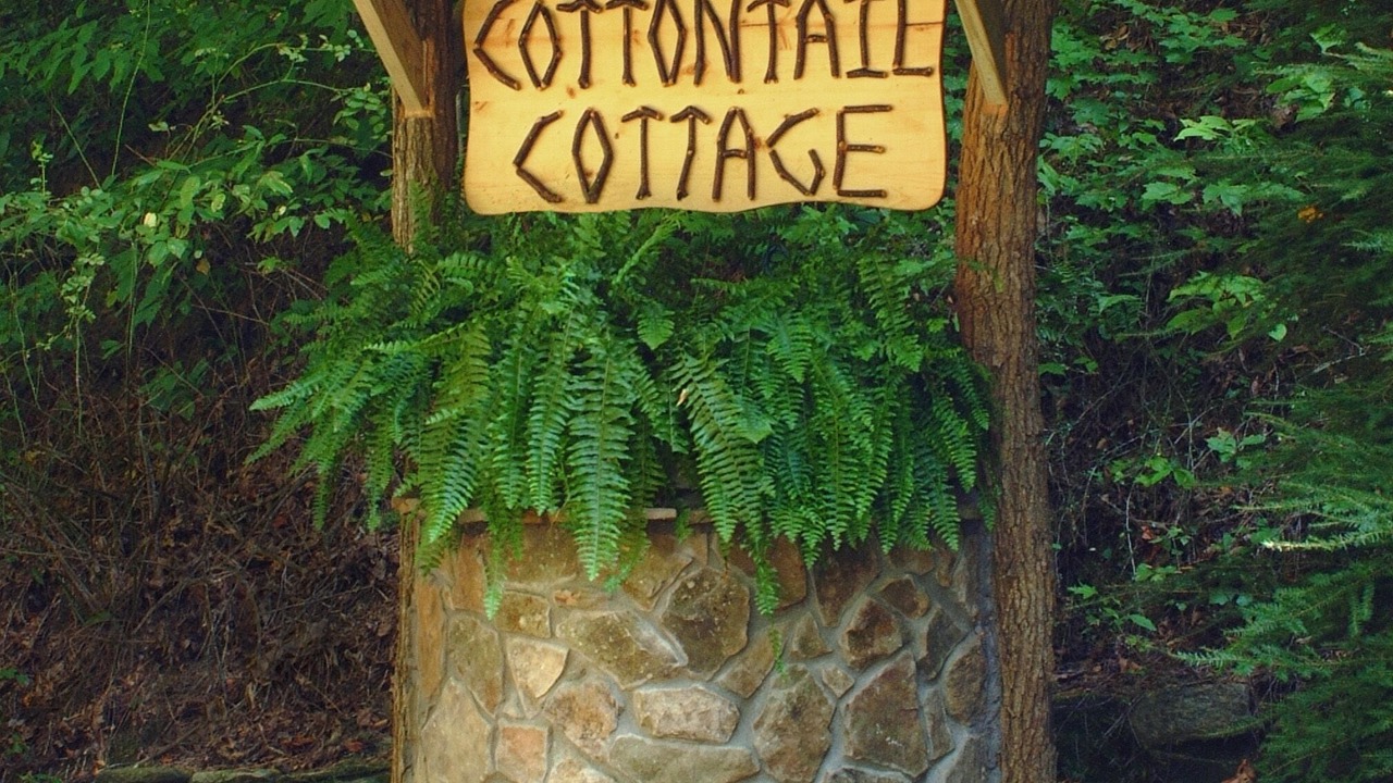 Photo of Others in Rabun Gap