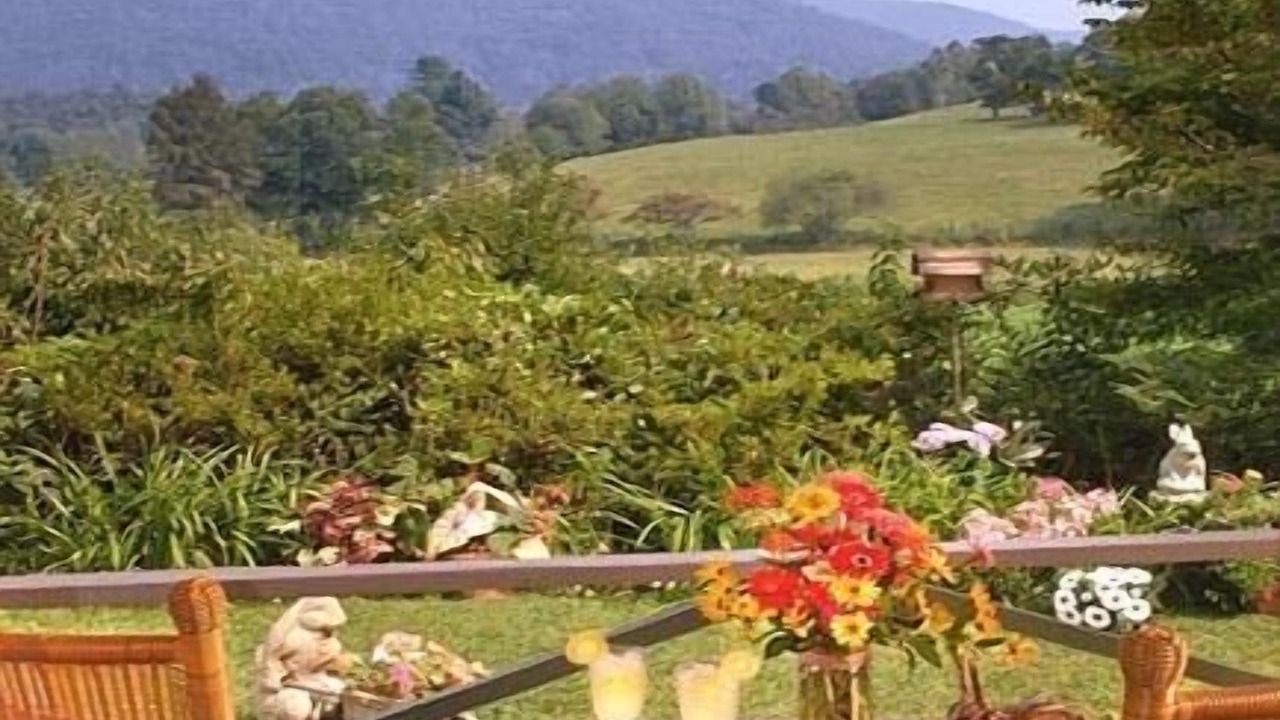 Photo of Outdoor in Rabun Gap