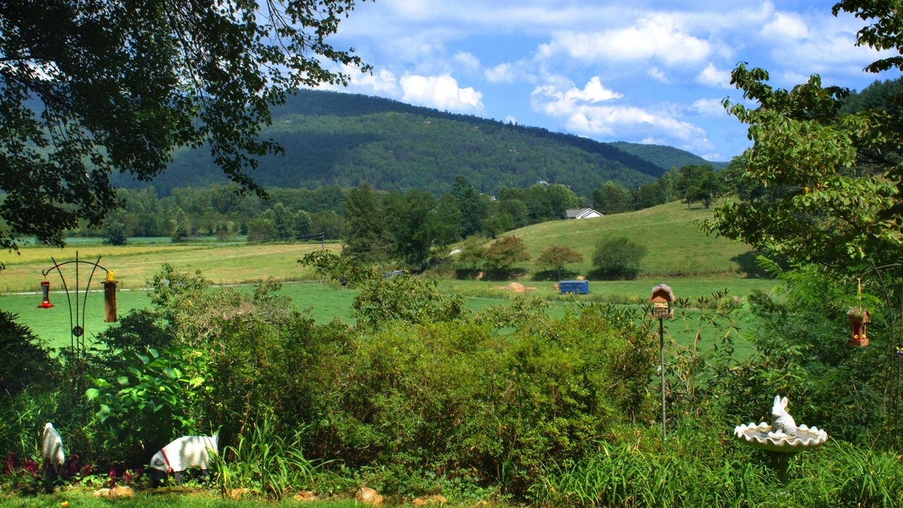Photo of Others in Rabun Gap