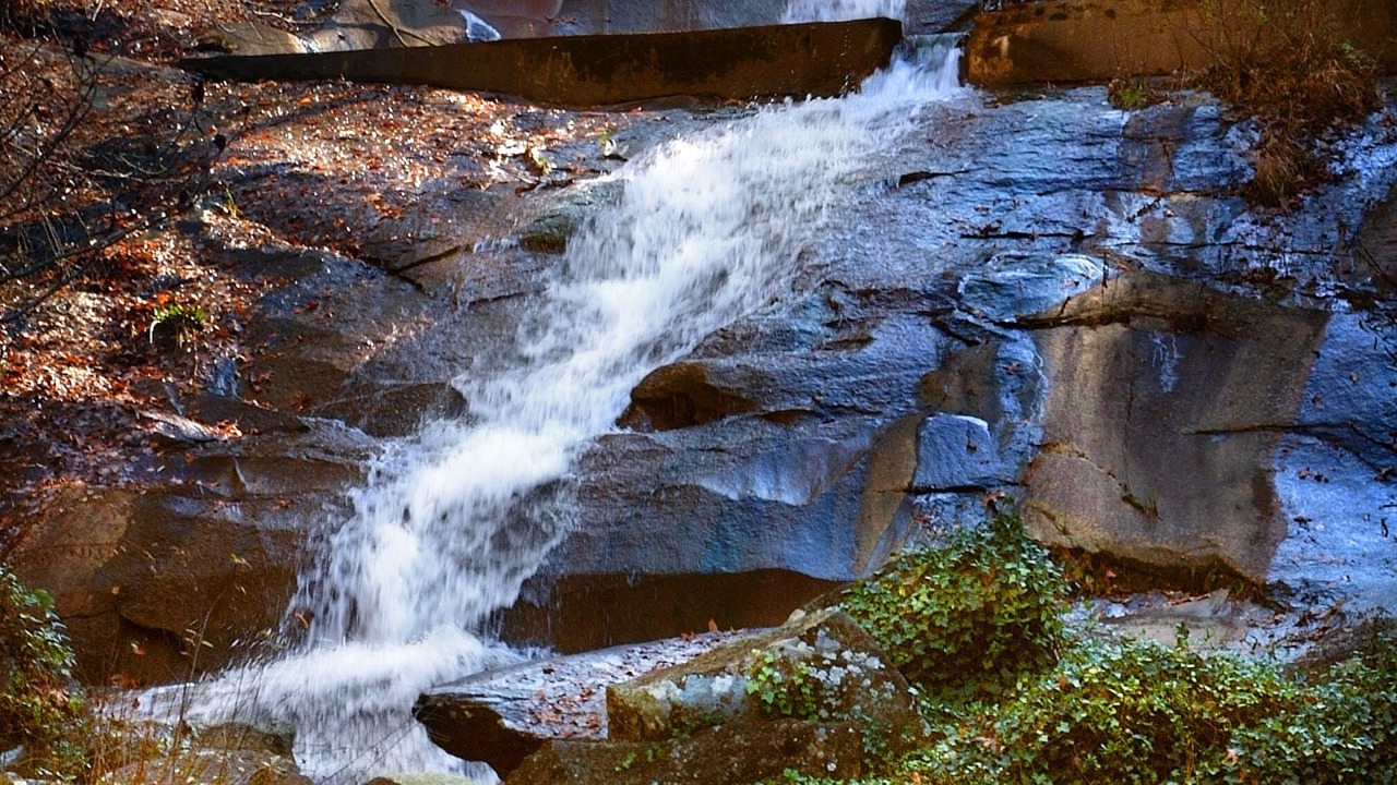 Photo of Others in Rabun Gap