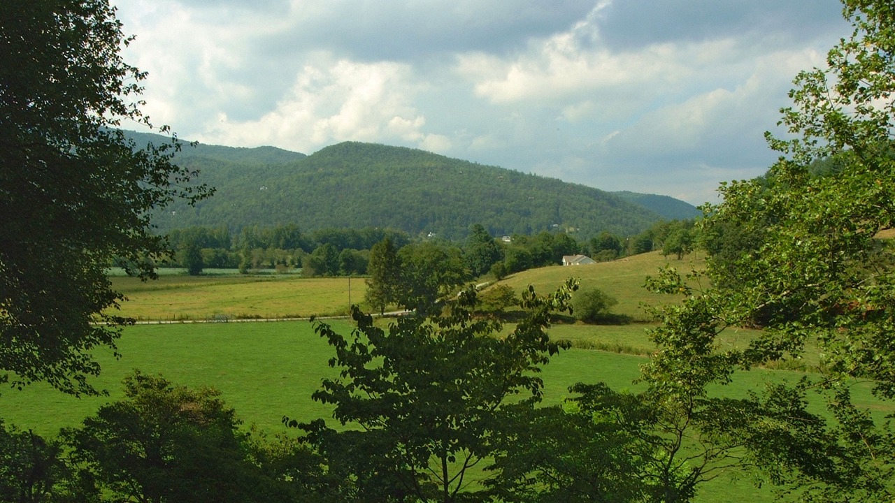 Photo of Others in Rabun Gap
