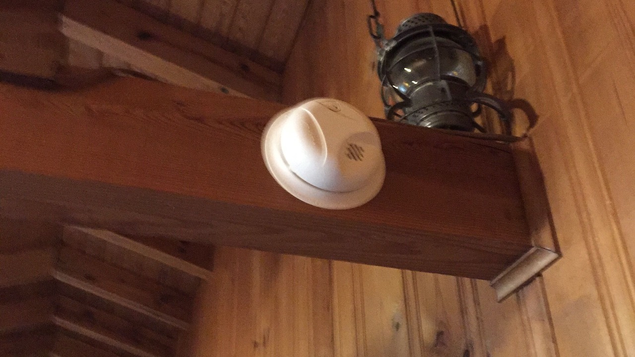 Photo of Others in Rabun Gap