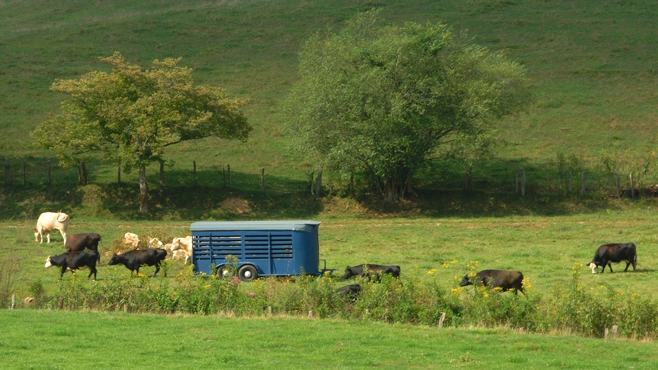 Photo of Others in Rabun Gap