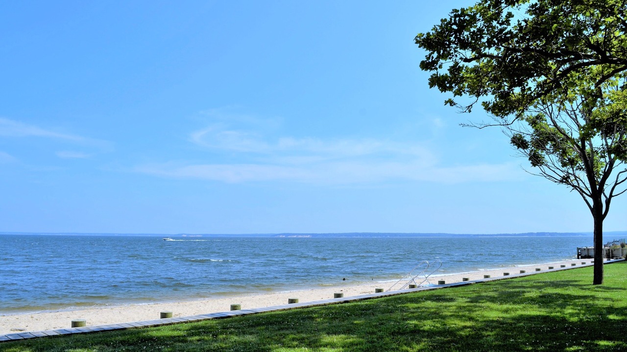 Photo of Others in Laurel