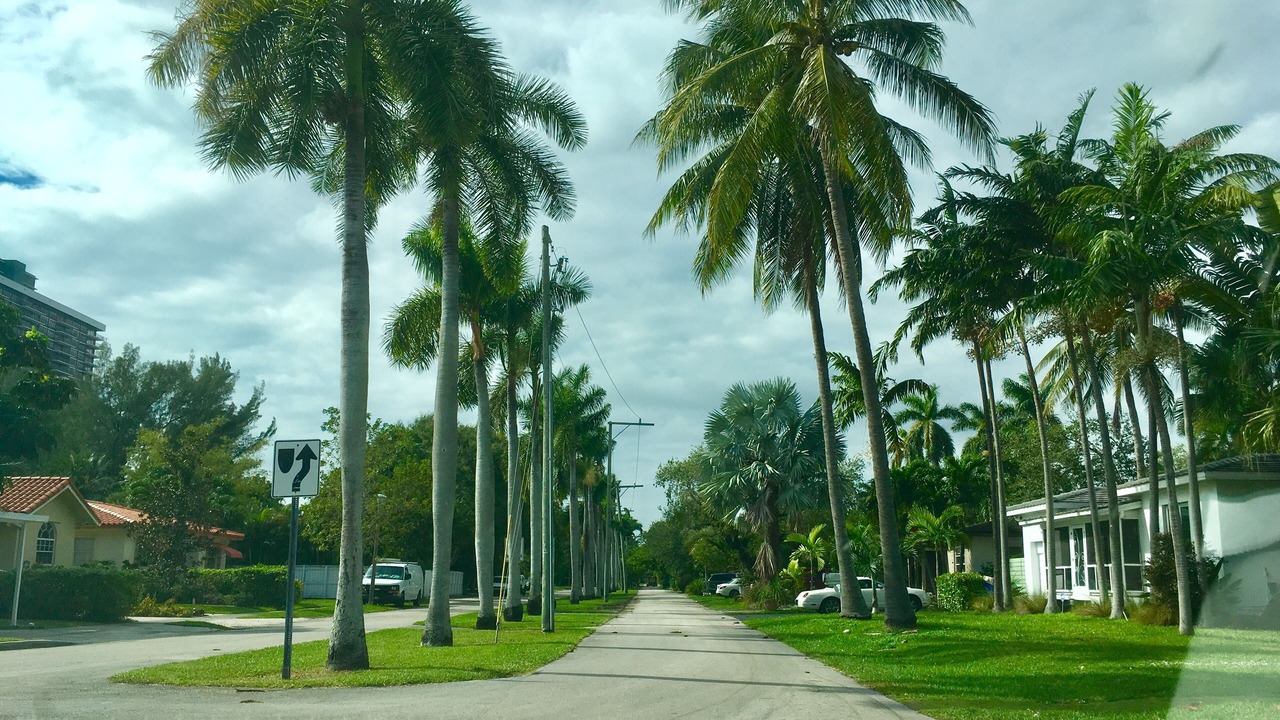 Photo of Outdoor in Northeast Miami