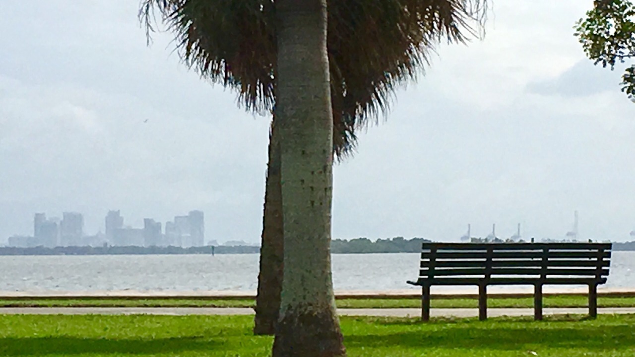 Photo of Outdoor in Northeast Miami