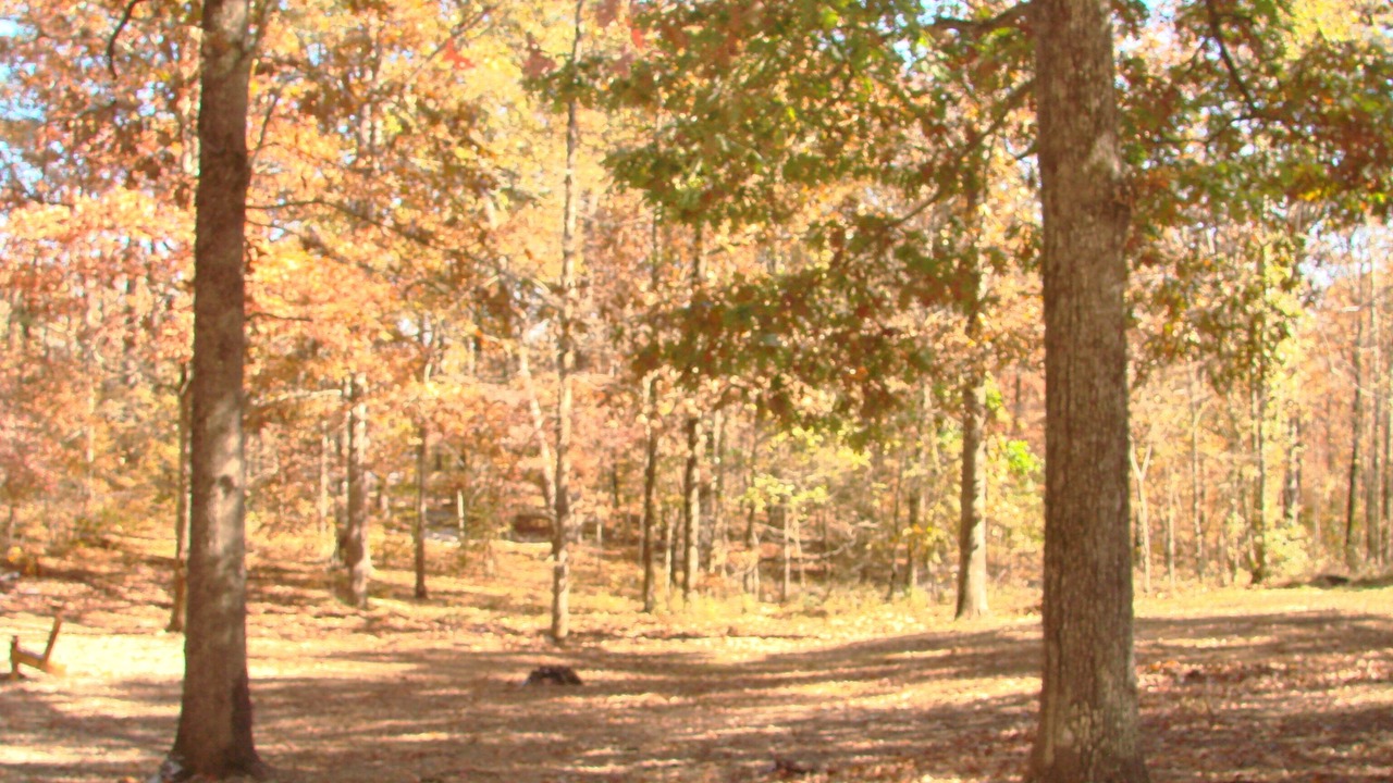 Photo of Others in Broken Bow