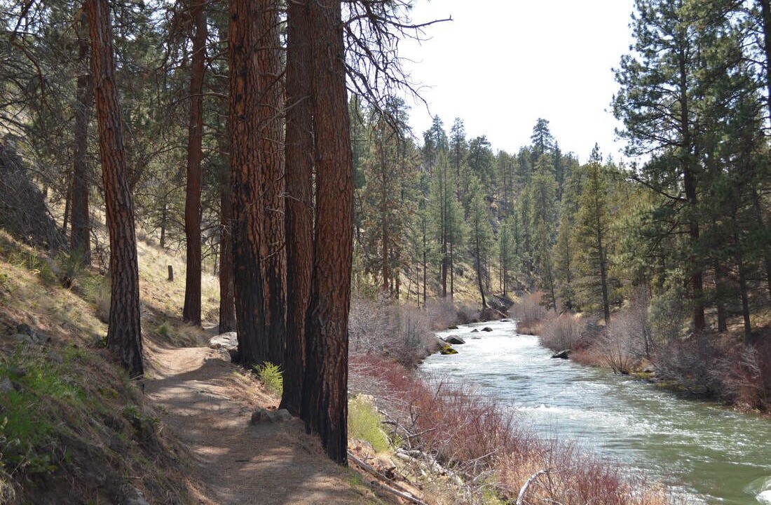 Photo of Others in Bend