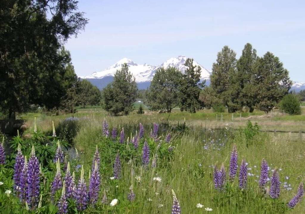 Photo of Others in Bend