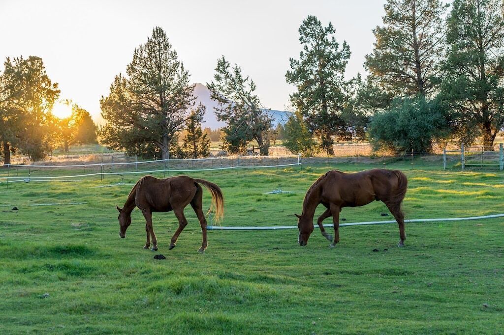 Photo of Others in Bend