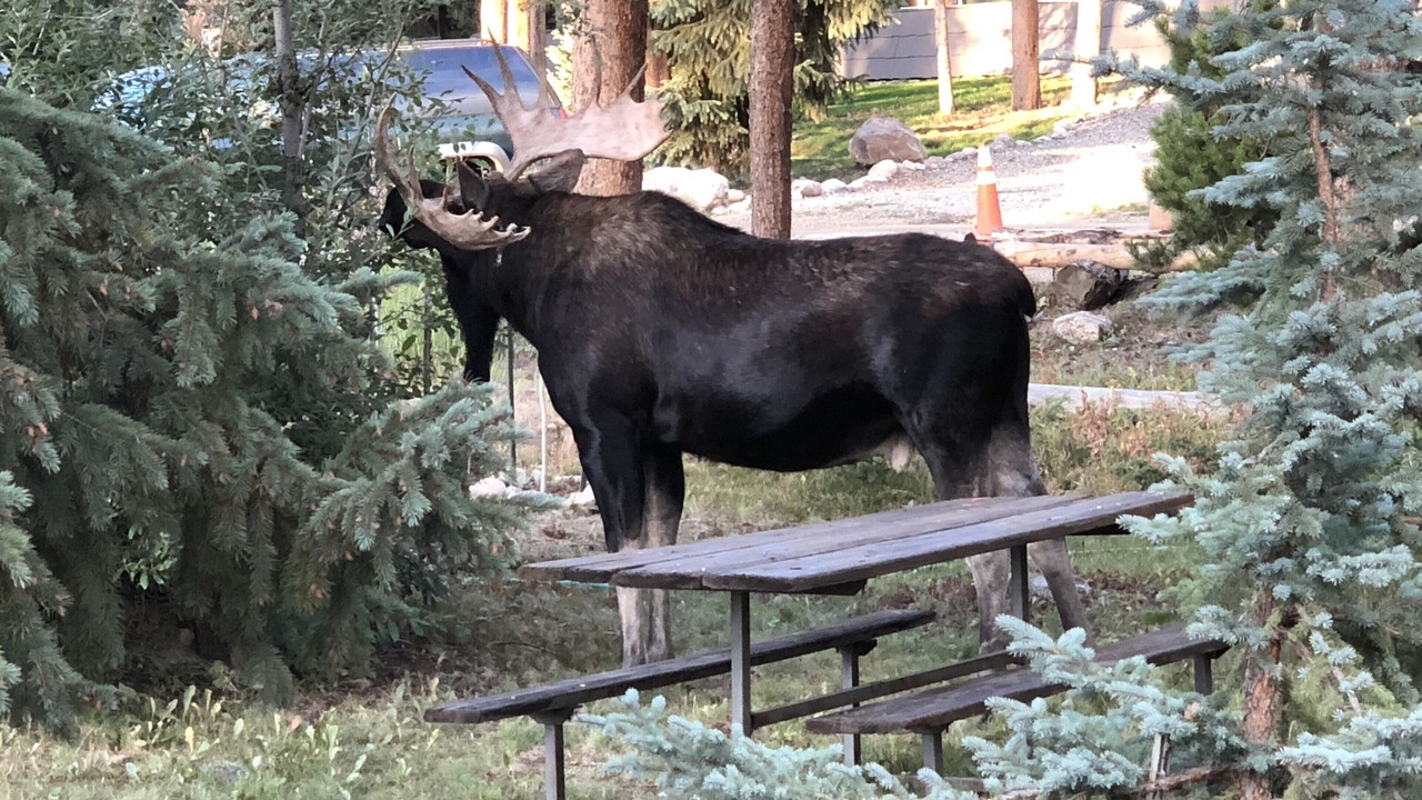 Photo of Others in Winter Park