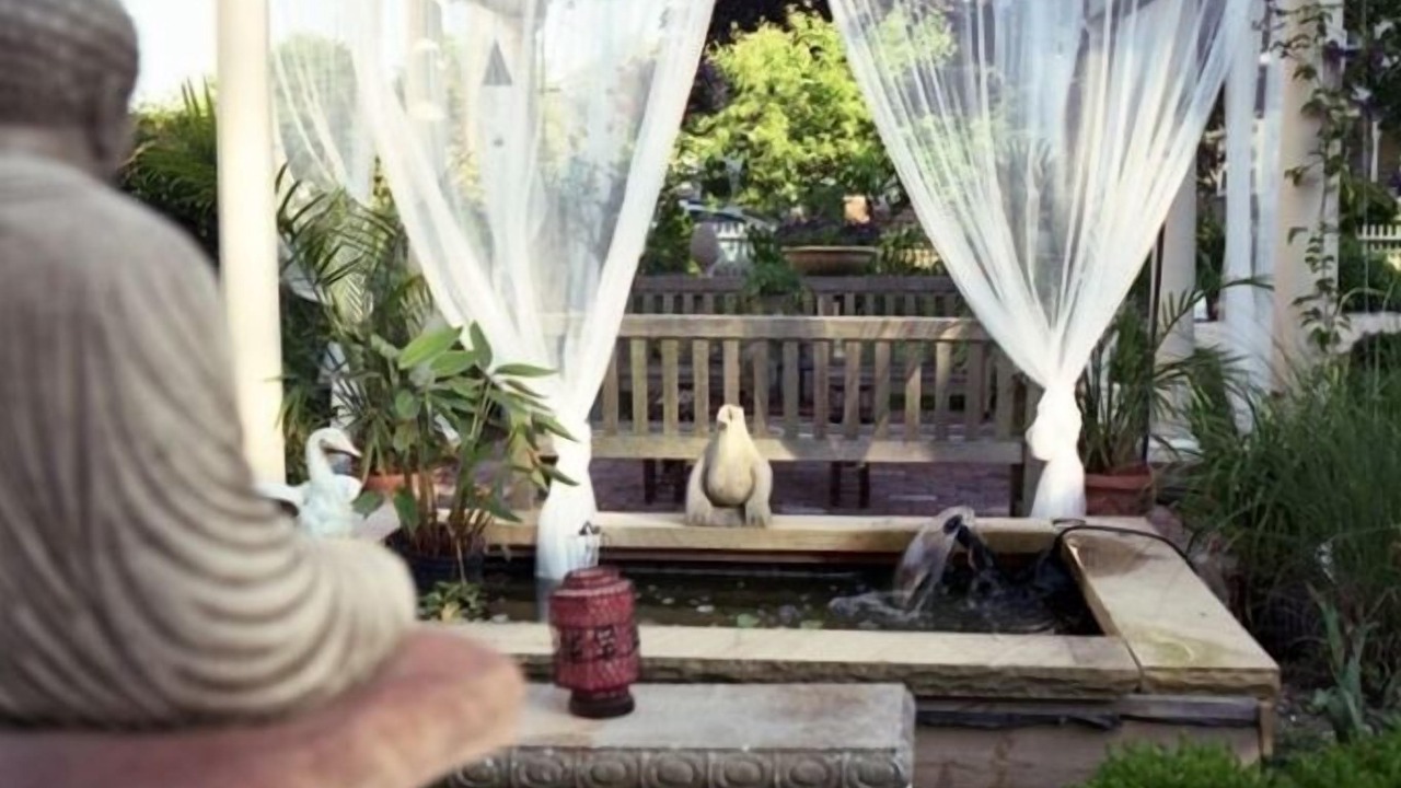 Photo of Outdoor in Greenport