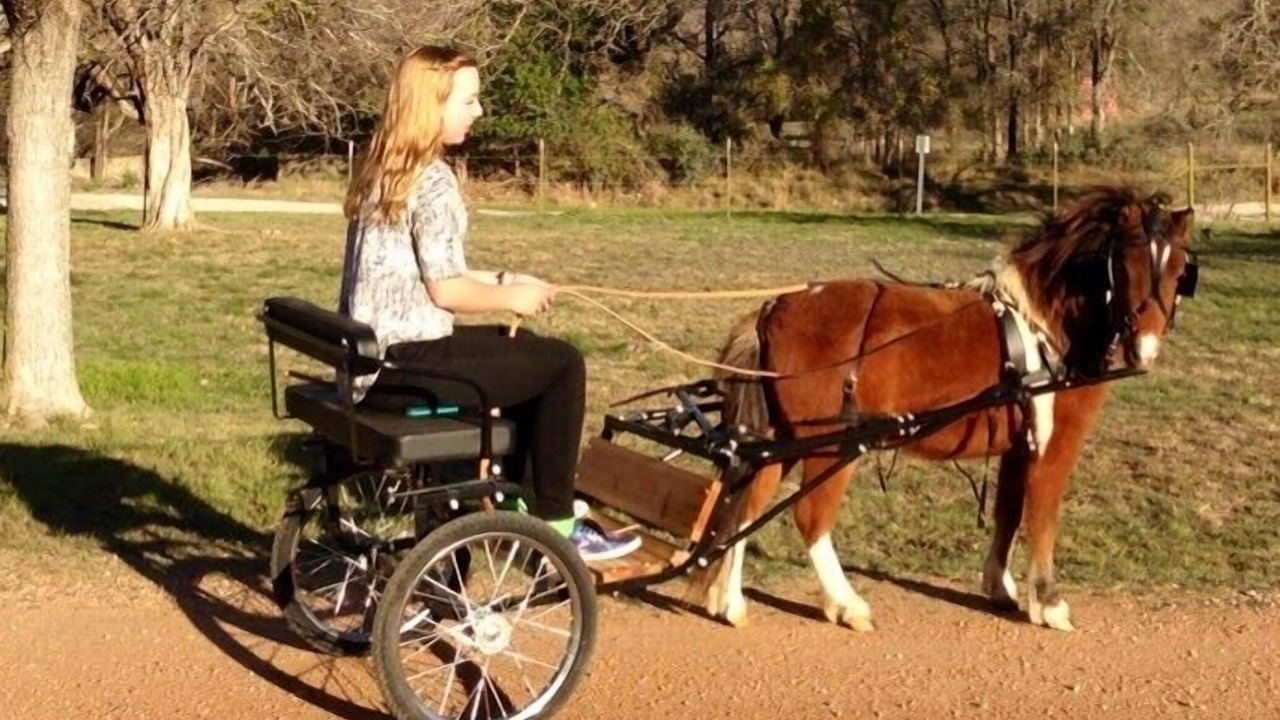 Photo of Others in Fredericksburg