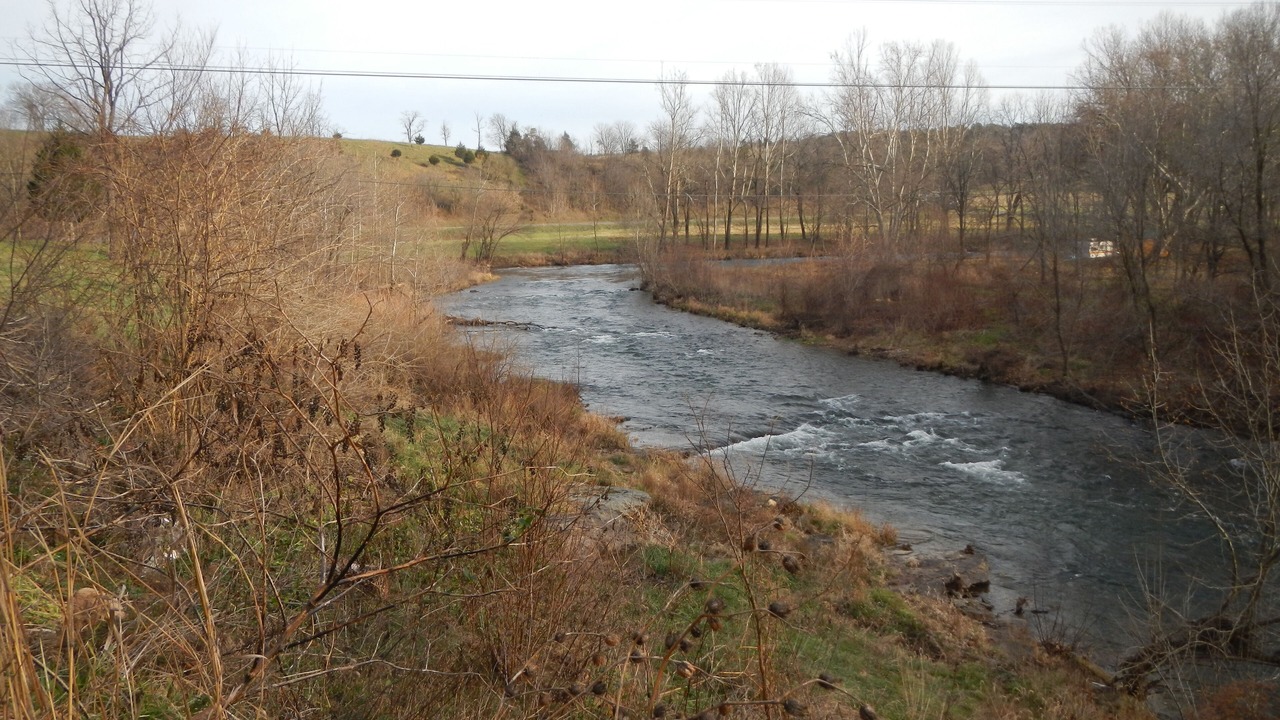Photo of Others in Upper Tract