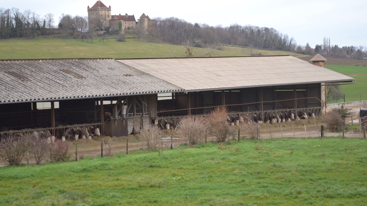 Photo of Outdoor in Pannessieres