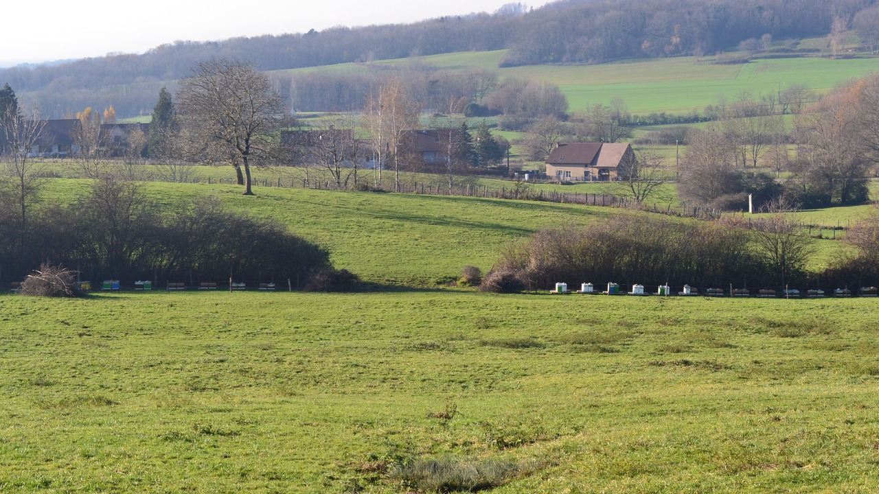 Photo of Outdoor in Pannessieres