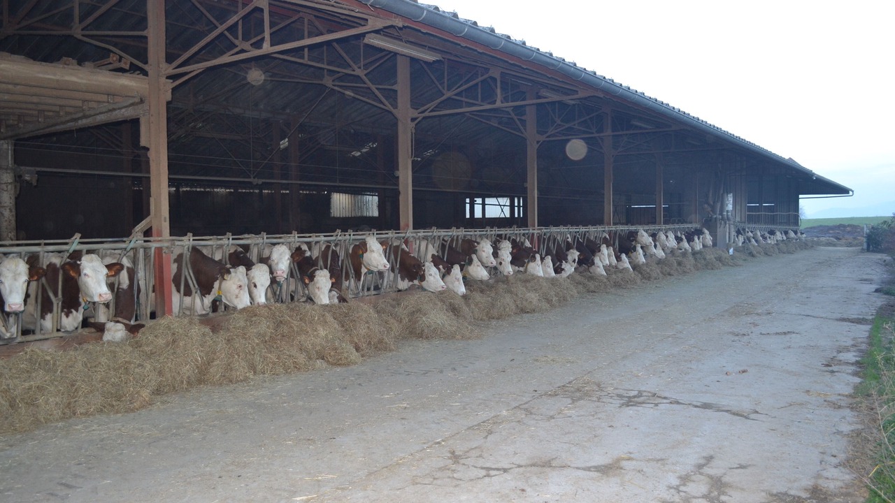 Photo of Others in Pannessieres