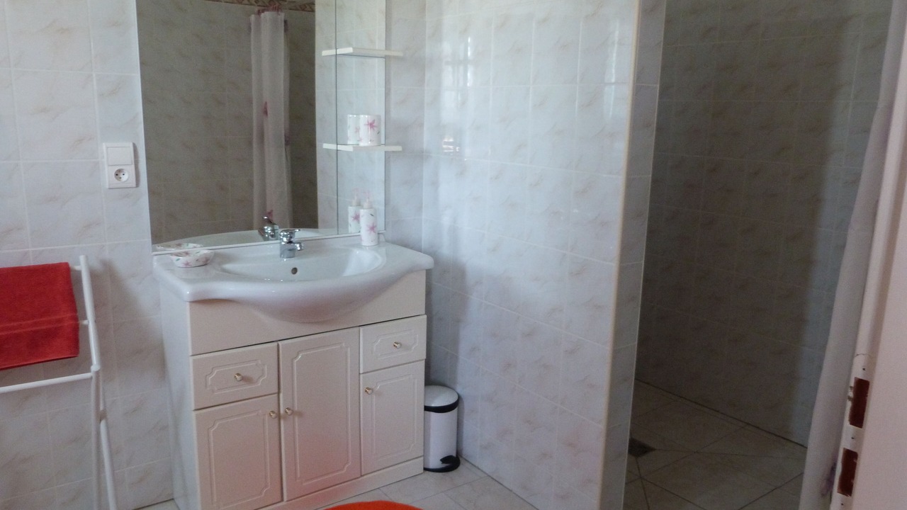 Photo of Bathroom in Villereal