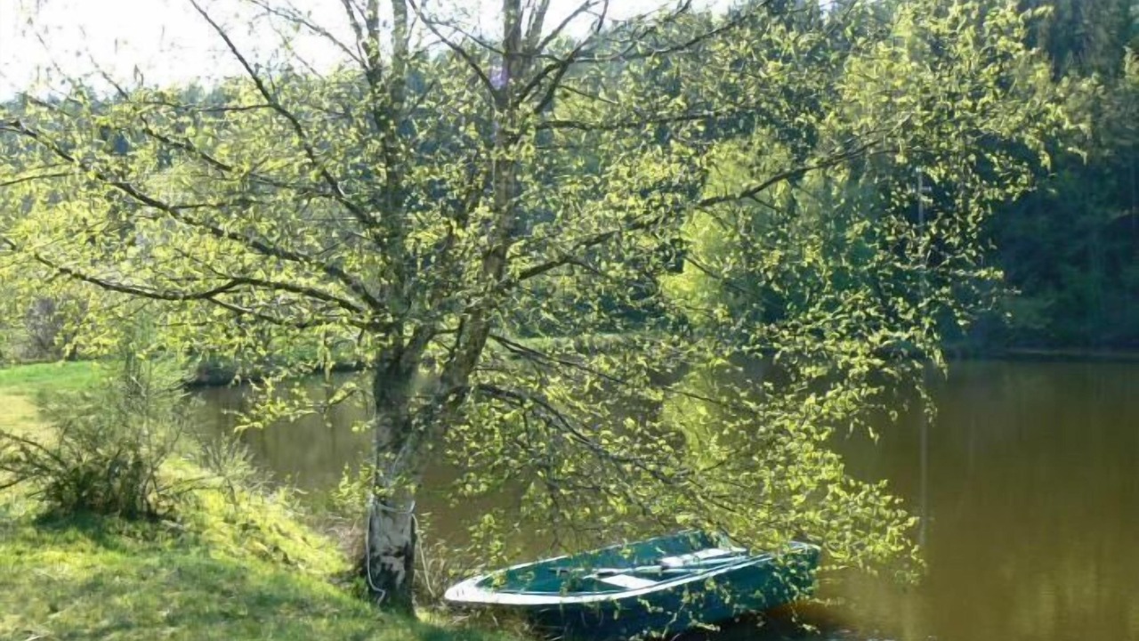 Photo of Outdoor in Moux-en-Morvan