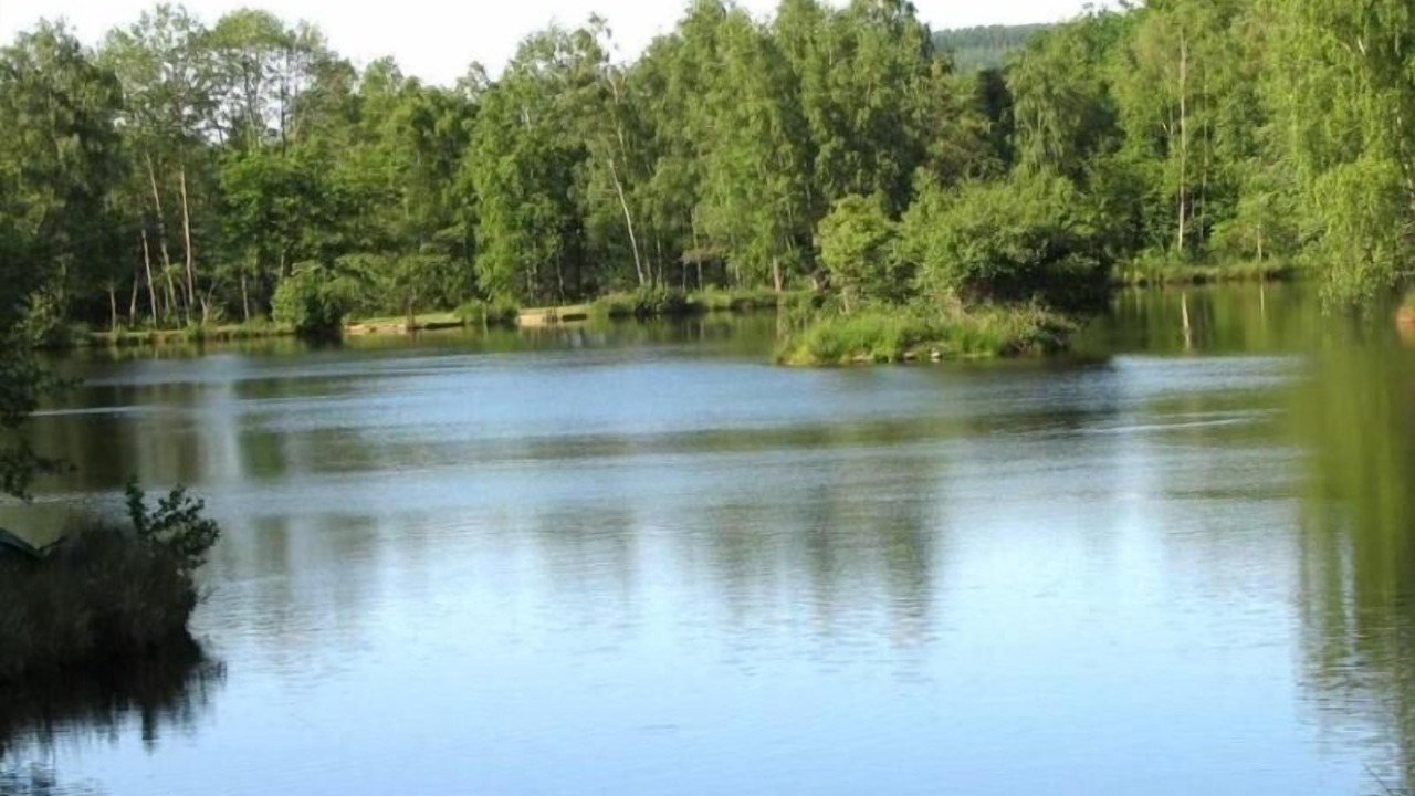 Photo of Outdoor in Moux-en-Morvan