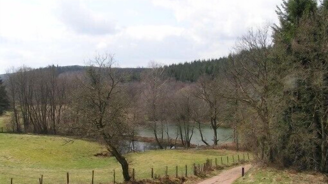 Photo of Outdoor in Moux-en-Morvan