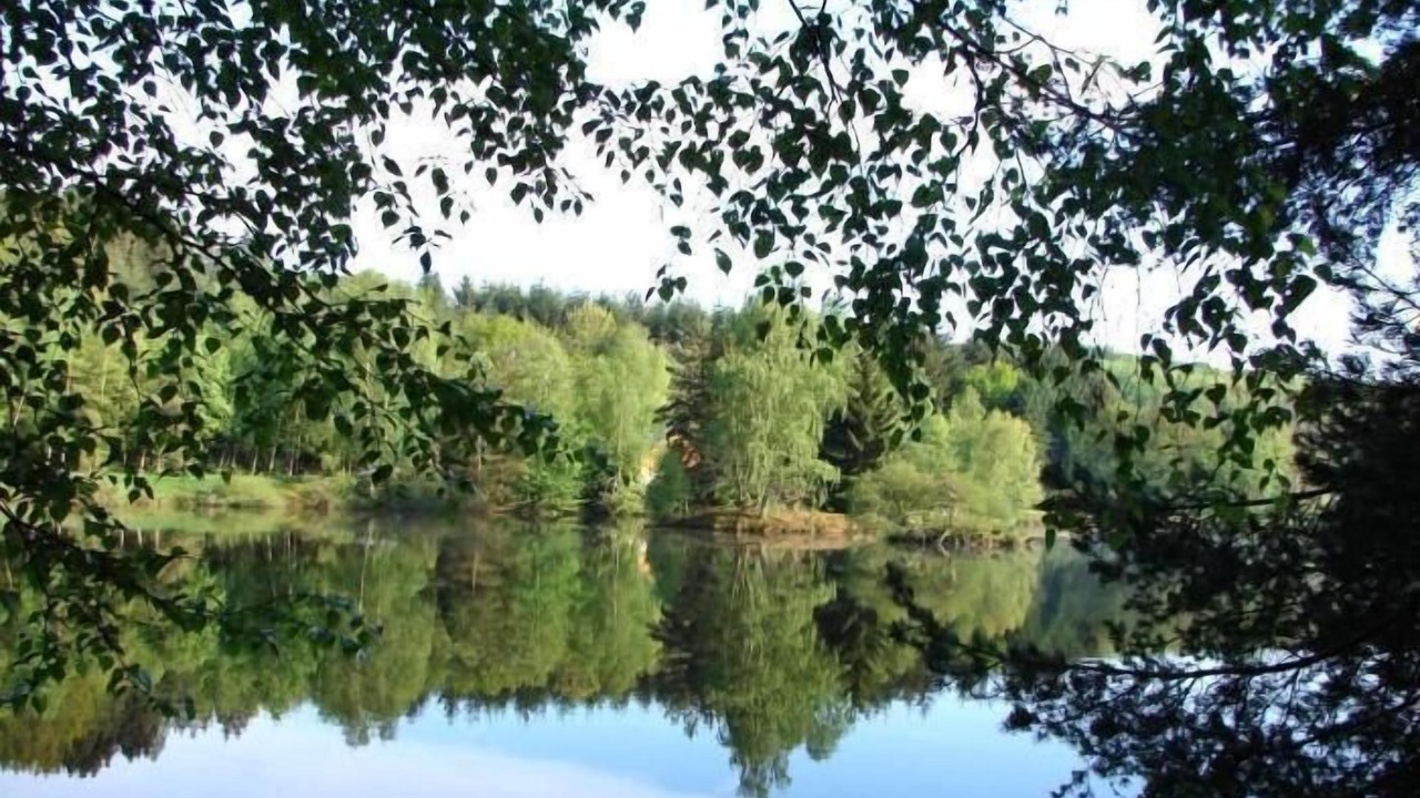 Photo of Outdoor in Moux-en-Morvan