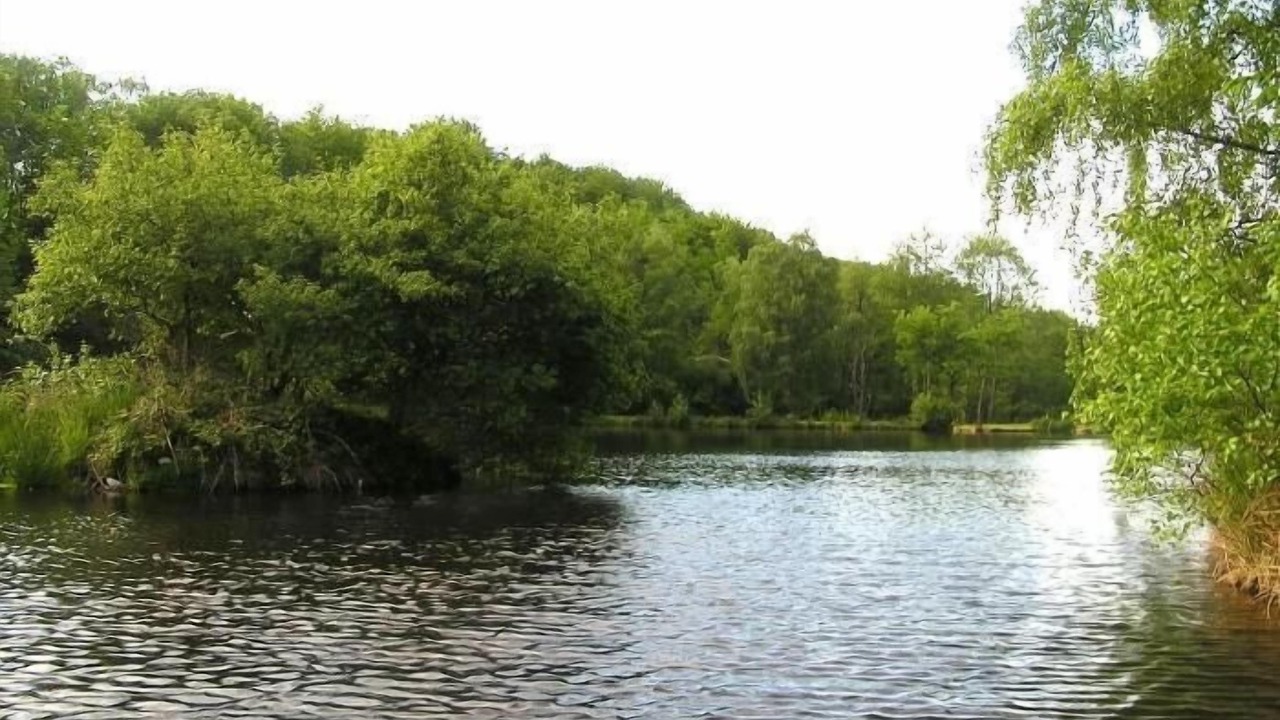 Photo of Outdoor in Moux-en-Morvan