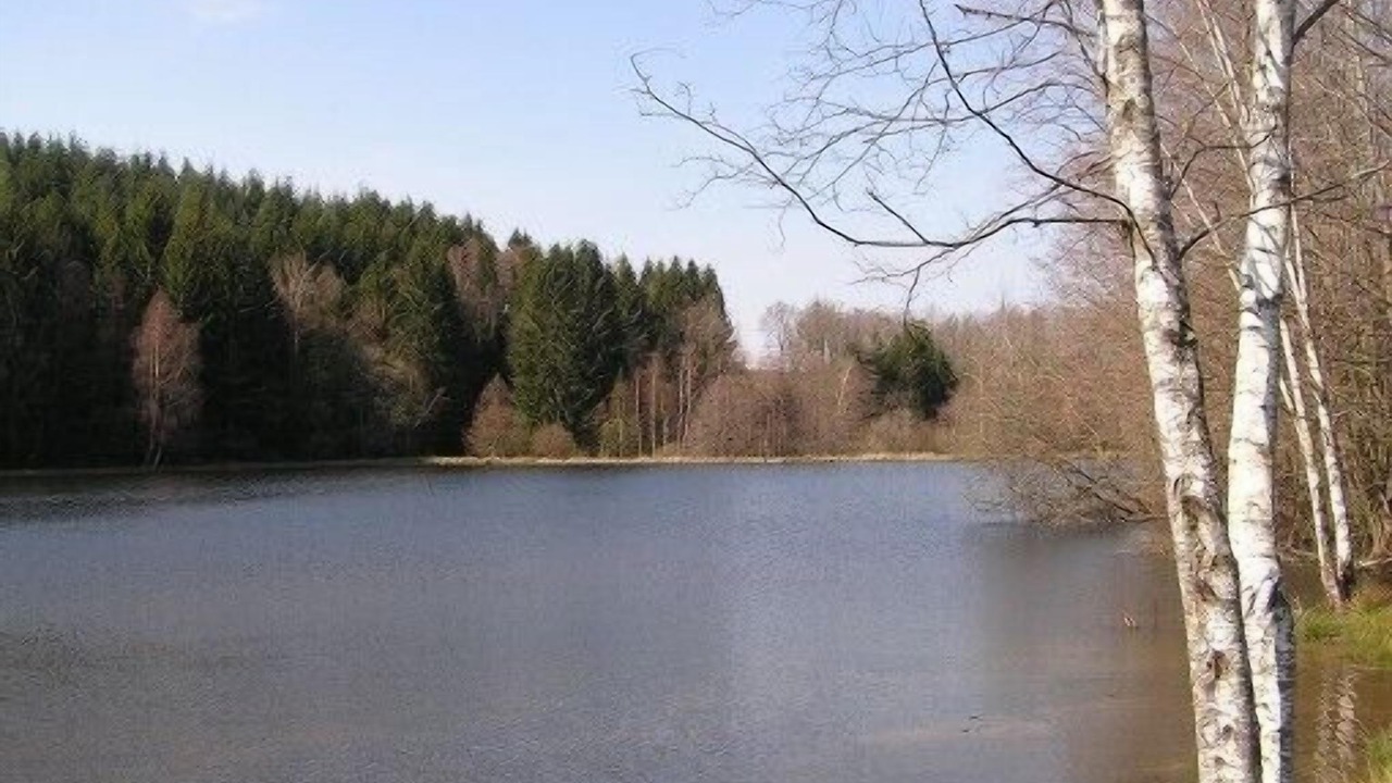 Photo of Outdoor in Moux-en-Morvan