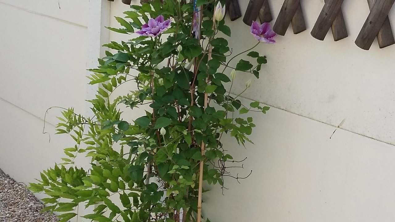 Photo of Outdoor in Champmotteux