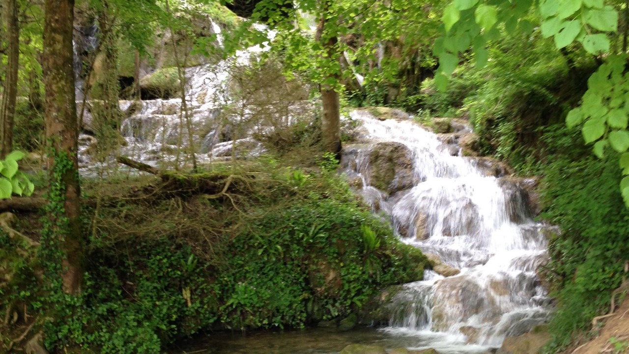 Photo of Outdoor in Pereille