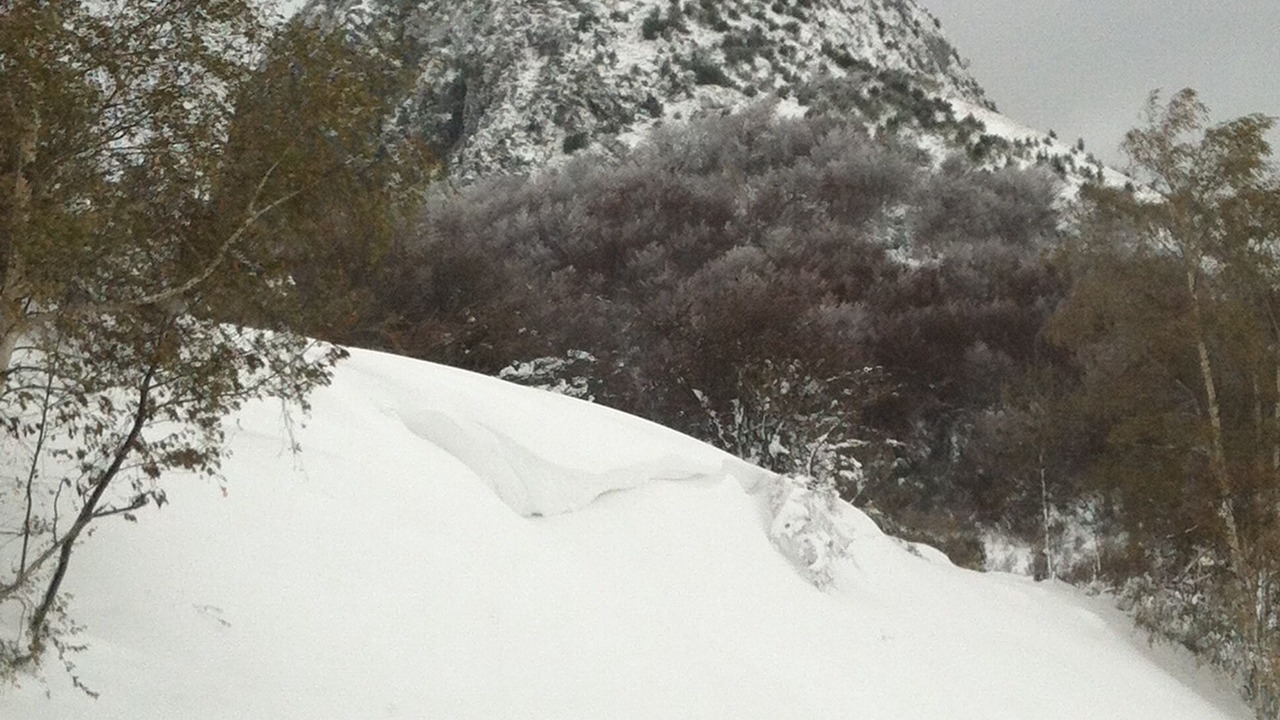 Photo of Others in Pereille