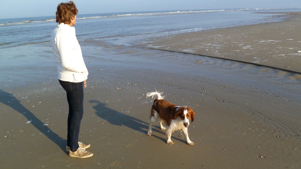 Photo of Others in Hardelot-Plage