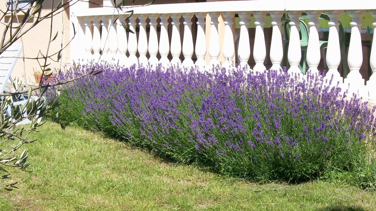 Photo of Outdoor in Thueyts