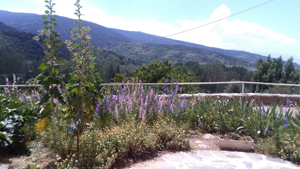 Photo of Outdoor in Osseja