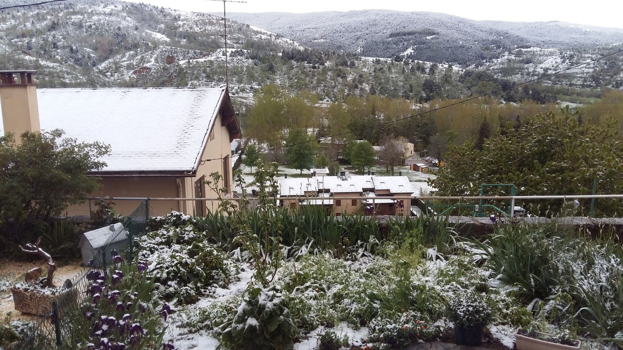 Photo of Outdoor in Osseja