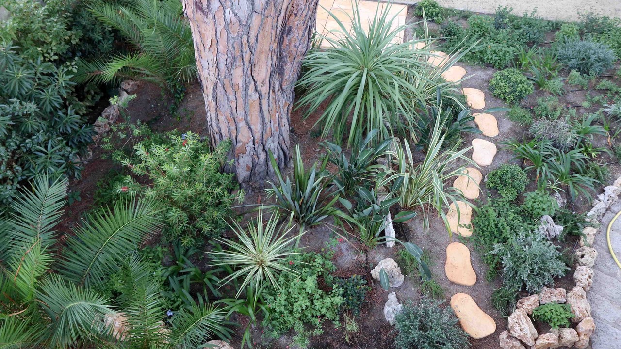 Photo of Outdoor in California - Pezou