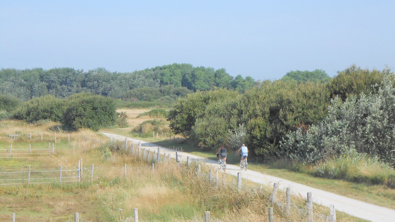 Photo of Others in Plouharnel