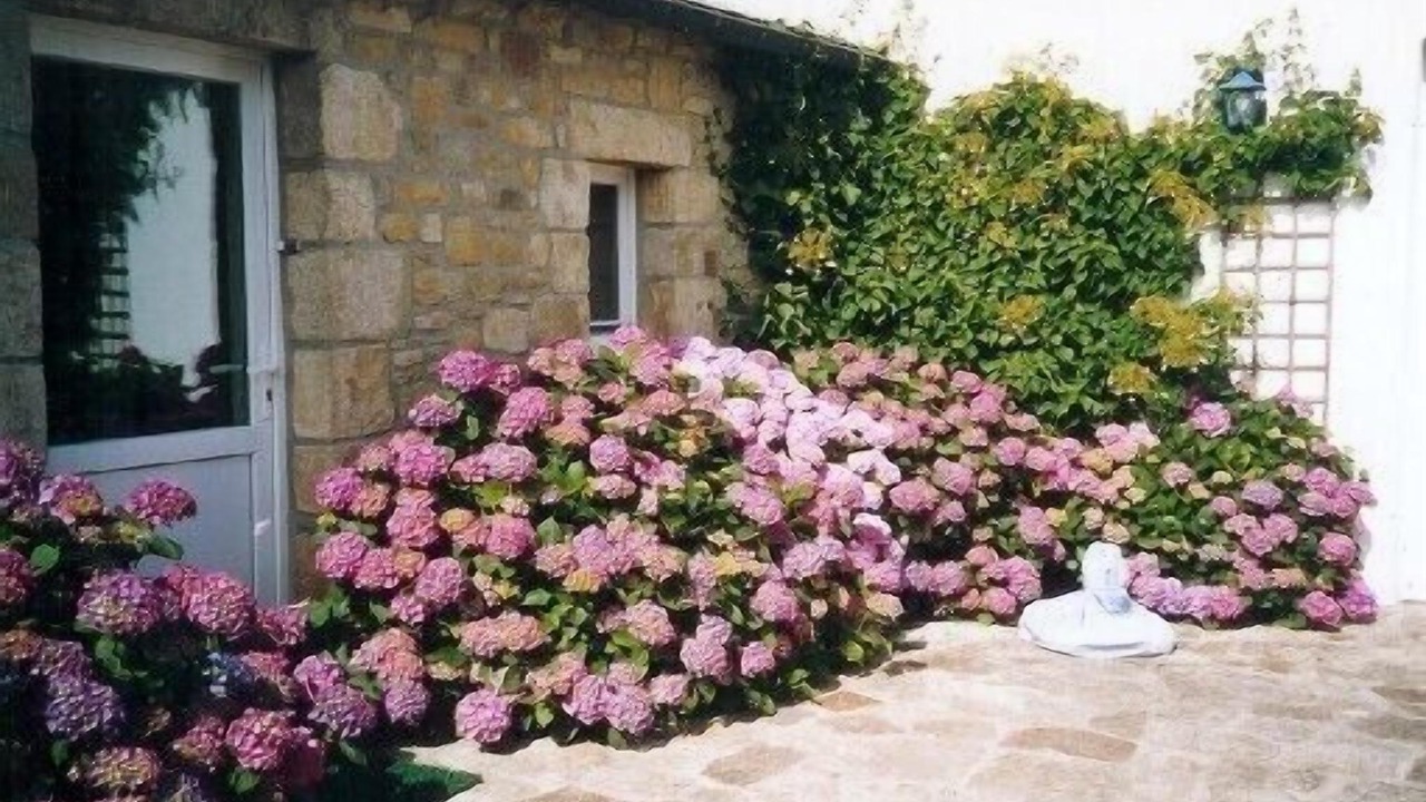 Photo of Outdoor in Plouharnel