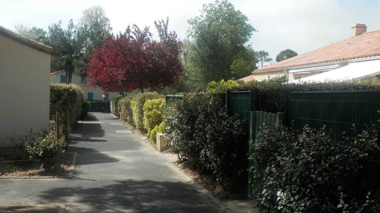 Photo of Outdoor in Saint-Jean-de-Monts