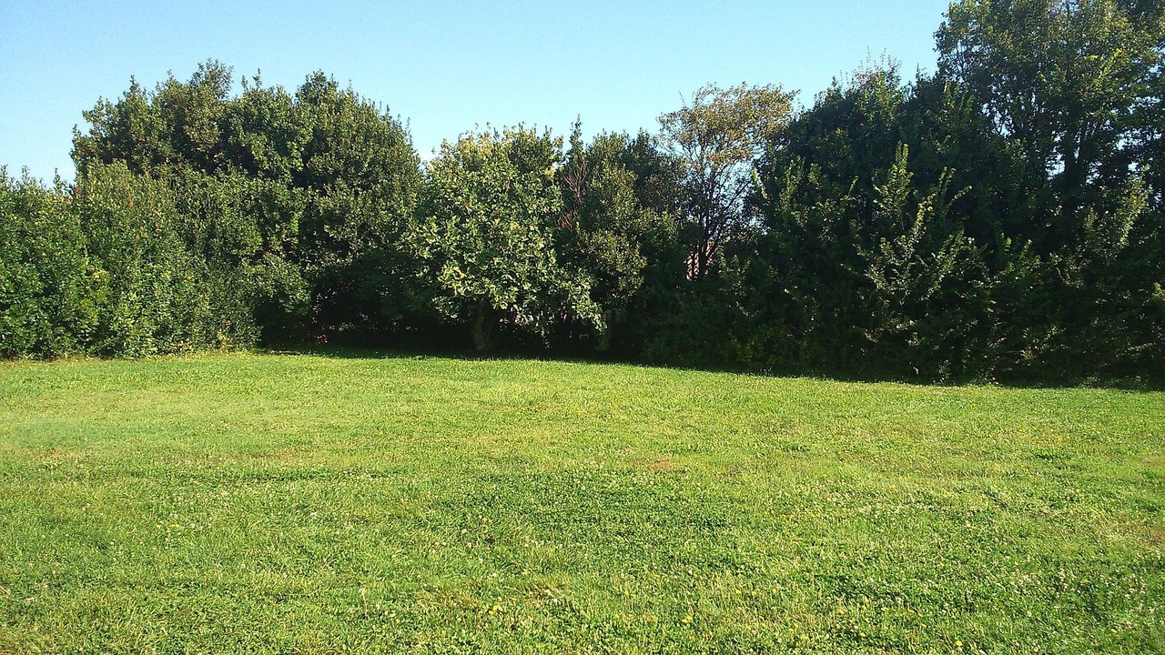 Photo of Outdoor in Saint-Denis-d'Oleron