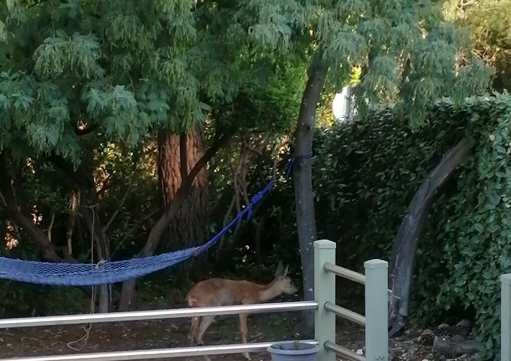 Photo of Outdoor in Lacanau-Ocean