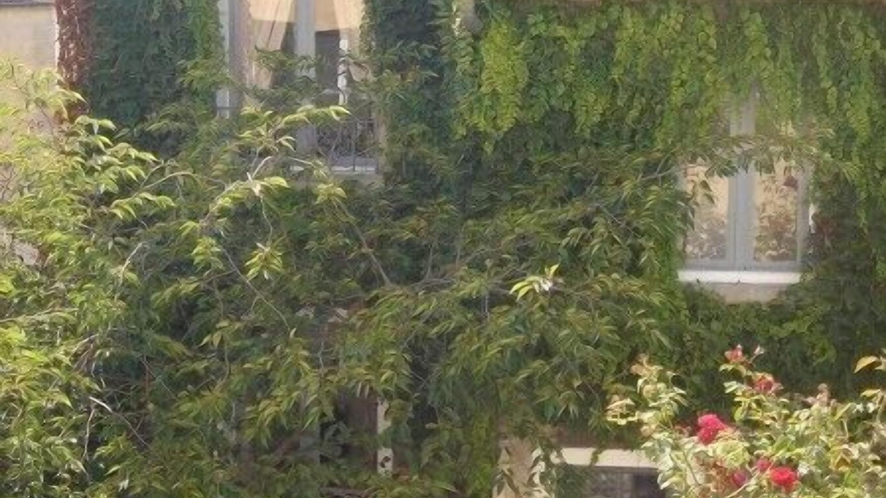 Photo of Outdoor in Saint-Louis
