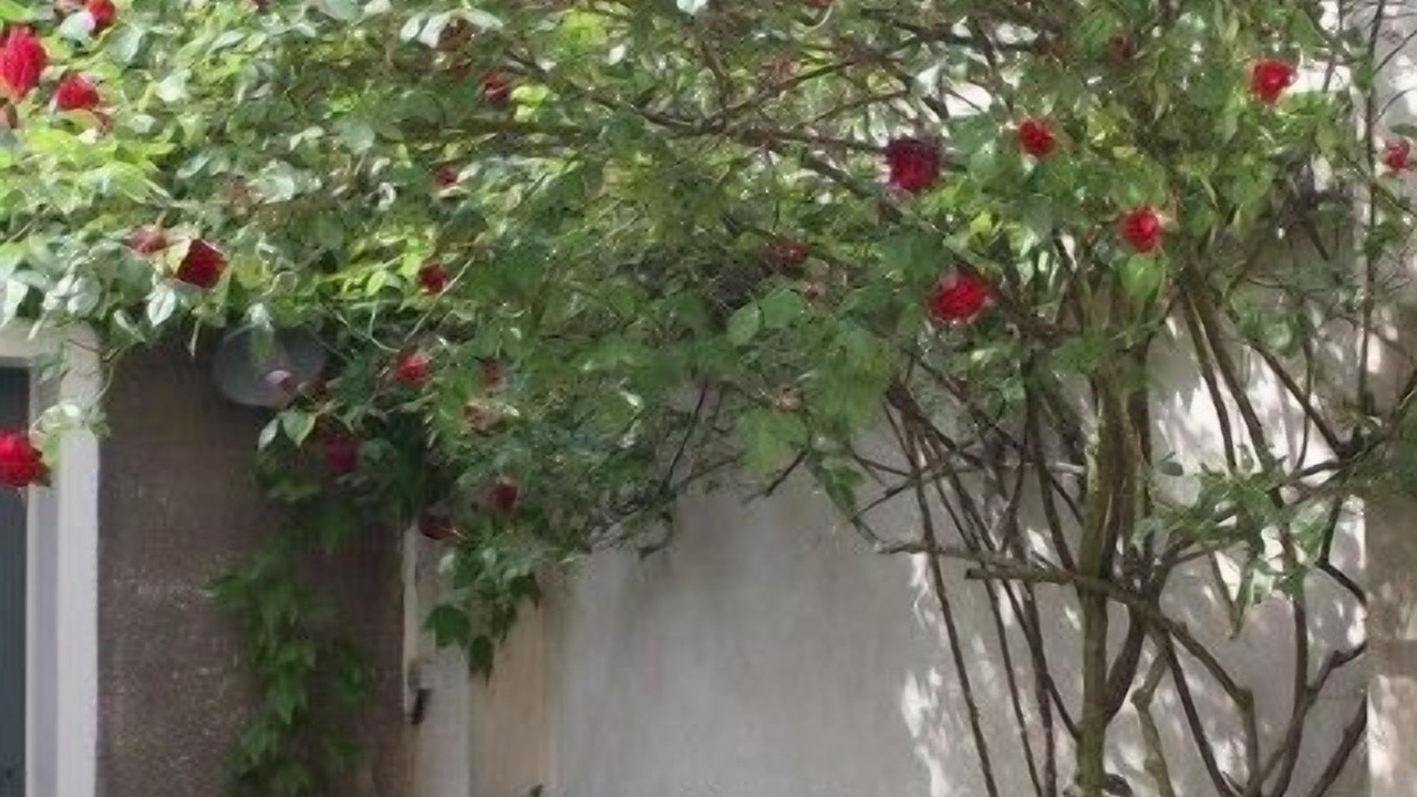 Photo of Outdoor in Saint-Louis